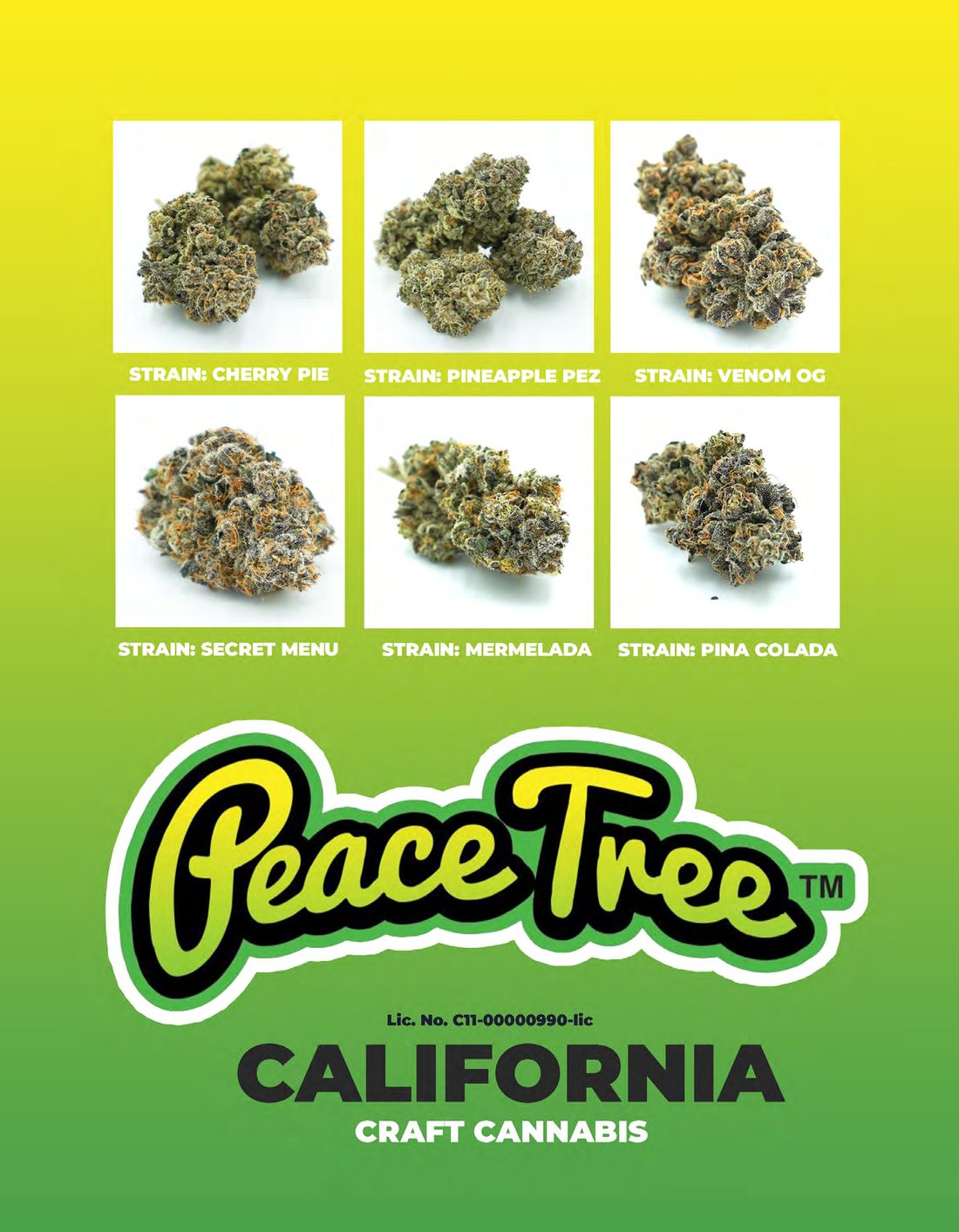 Magazine page 40